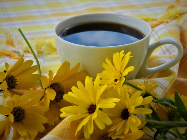 Доброе утро