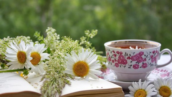 Чай "Ромашка"