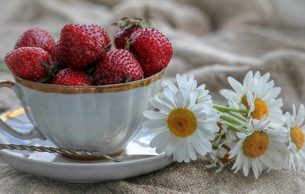 Доброе утро земляника ромашки