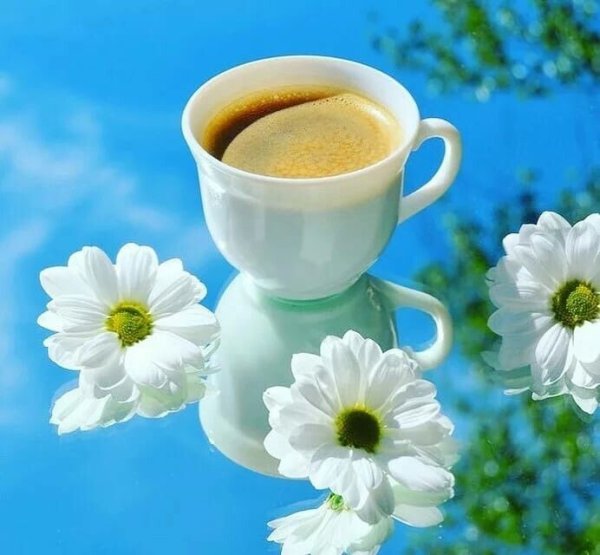 Кофе солнце