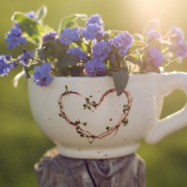 Полевые цветы в кружке