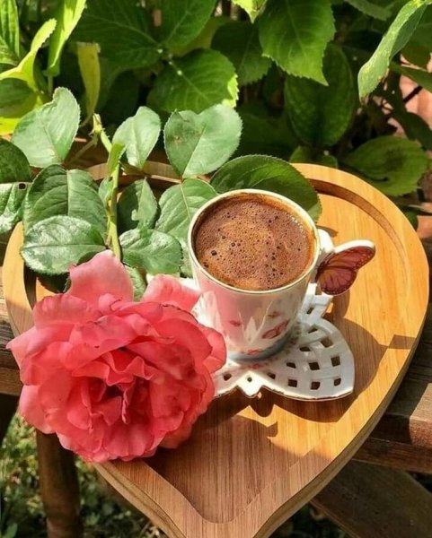 Летние цветы и кофе