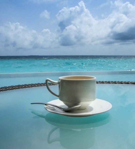 Чашечка моря