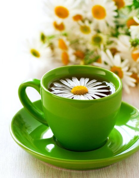 Волшебное утро