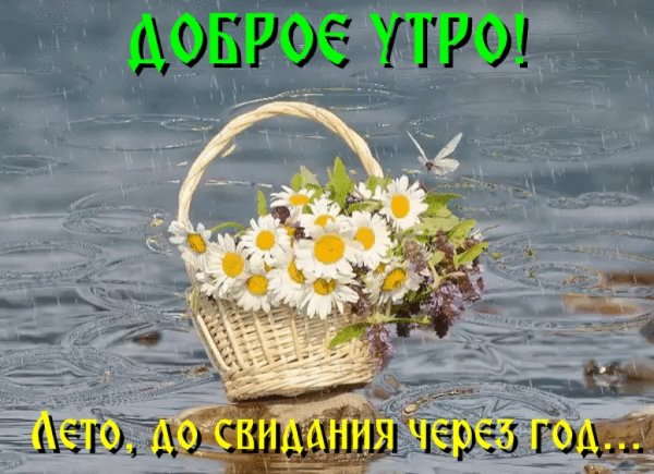 Спасибо лето