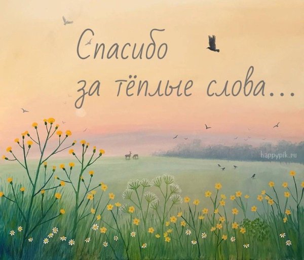 Спасибо за добрые слова