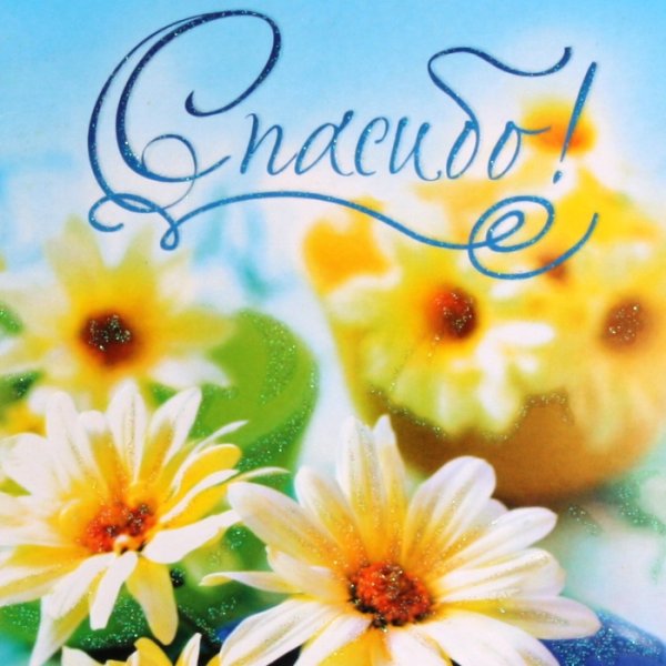 Благодарность картинки красивые