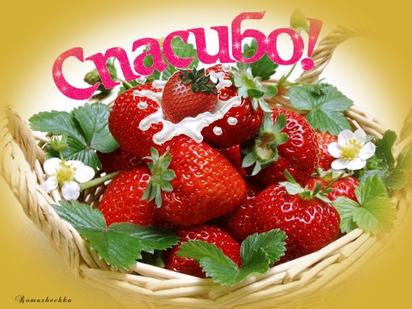 Спасибо клубника