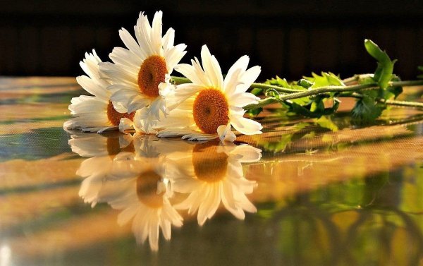 Душевного тепла и настроения