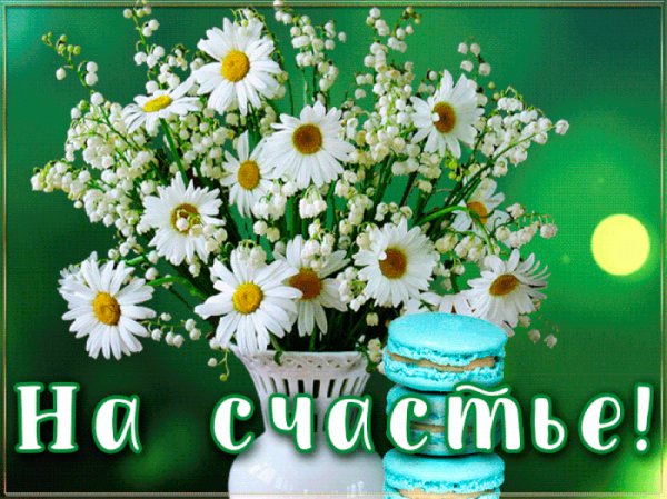 Красивые пожелания с ромашками