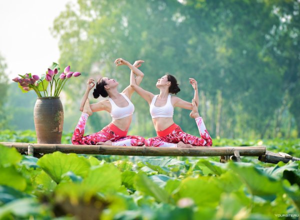 Йога на природе