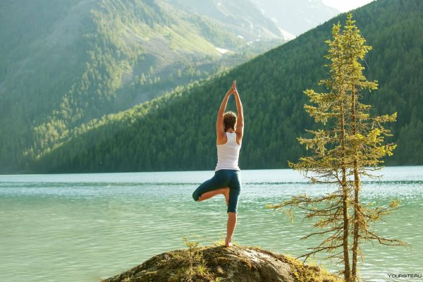 Врикшасана поза дерева