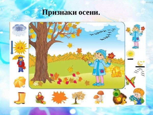 Признаки лето для дошкольников