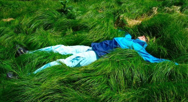 Пивная вечеринка на природе