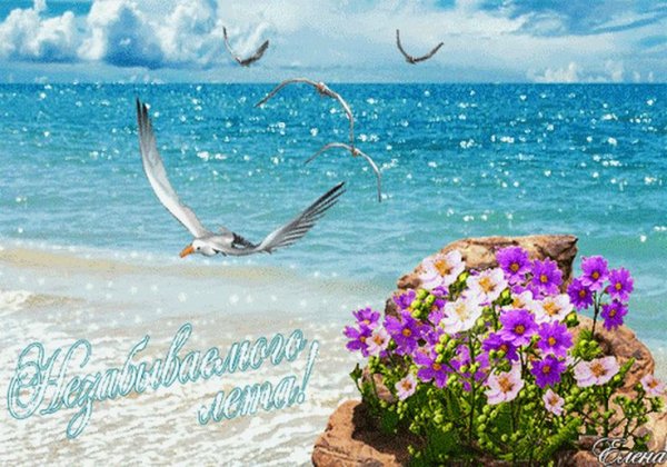 Доброго дня с морским пейзажем
