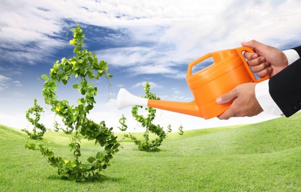 Инвестирование в сельское хозяйство