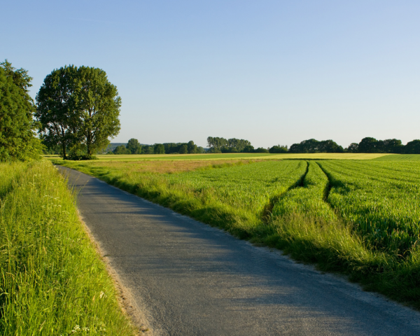 Лето дорога небо