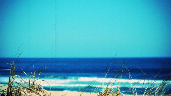 Природа река