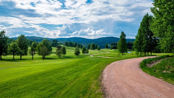 Река в лесу