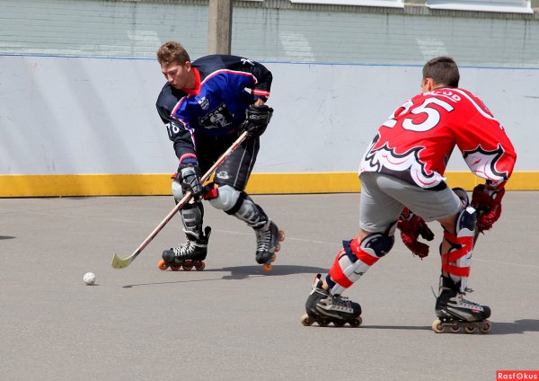 Роллер хоккей