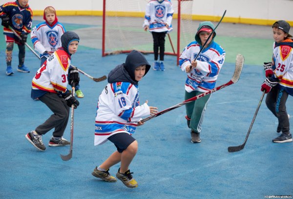 Летний хоккей с мячом