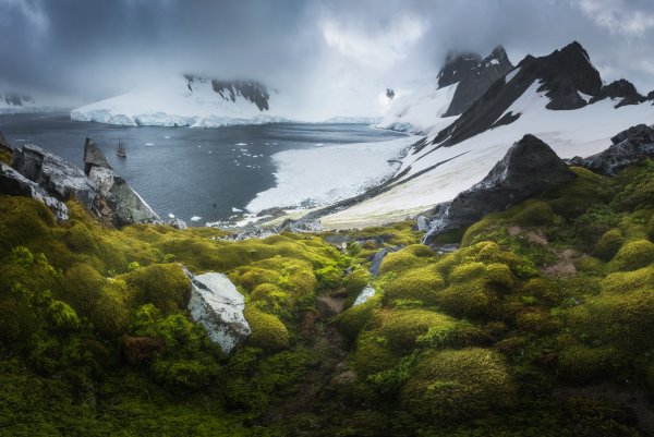 Лето в Антарктиде