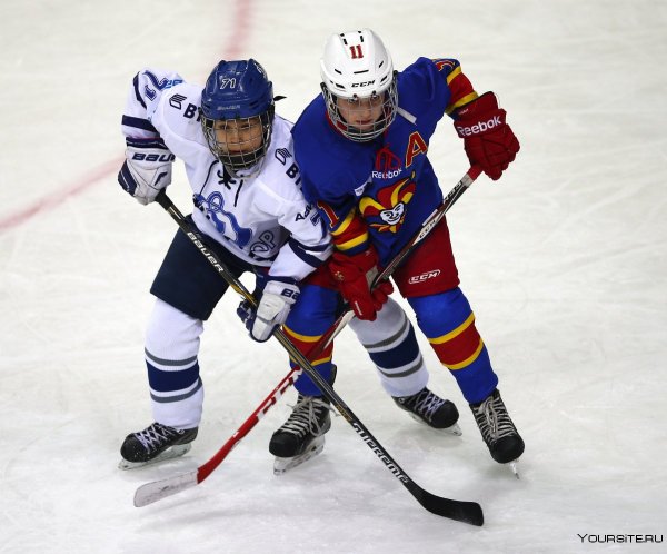 Скрещенные хоккейные клюшки