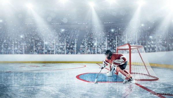 Два хоккеиста на льду