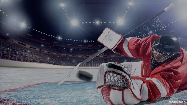 Чемпионат мира по хоккею с шайбой