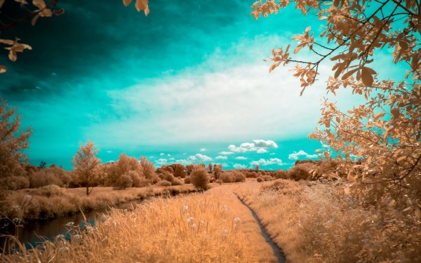 Пейзаж в коричневых тонах