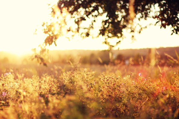 Фон деревня размытый