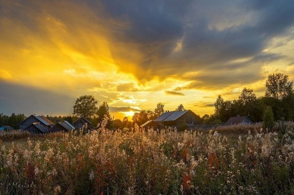 Белгород природа деревня