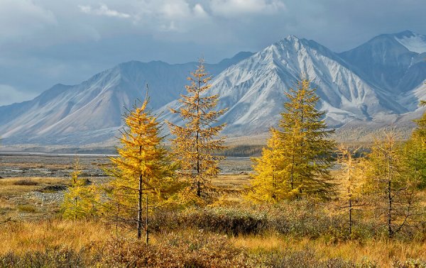 Якутия горы Оймякона