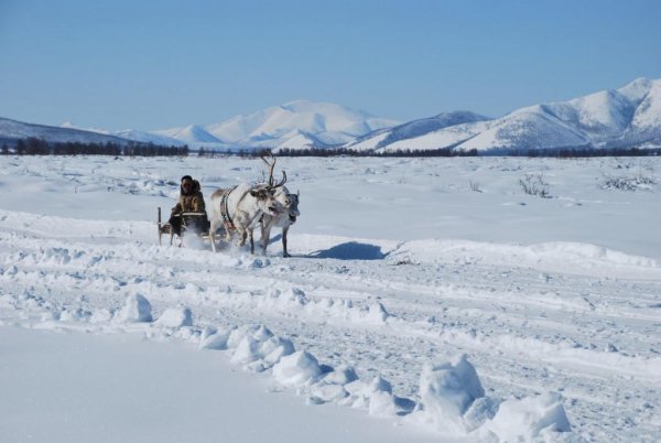 Село Оймякон, полюс холода