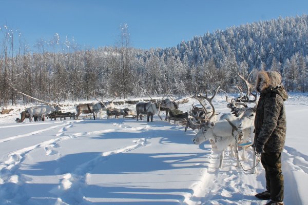 Республика Саха (Якутия)Оймякон