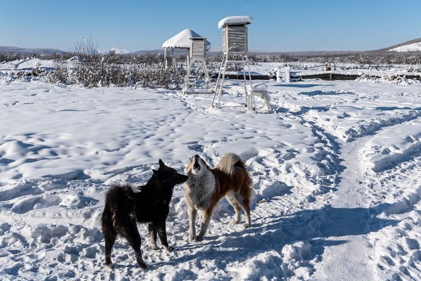 Якутия Оймякон - 60