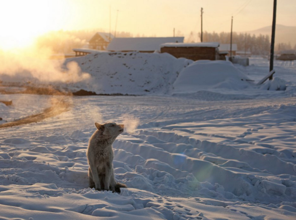 Оймякон Сибирь