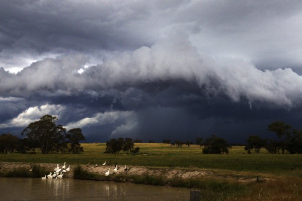 Непогода гроза