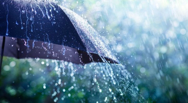 Дождливый сентябрь