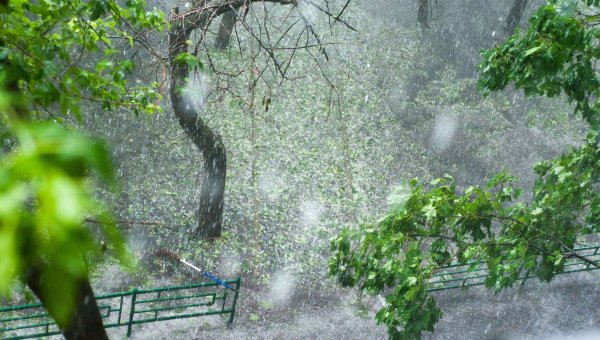 Под зонтиком