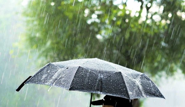 Дождливое осеннее окно