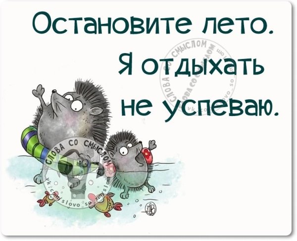 Лето остановись