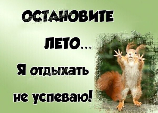 Остановите лето