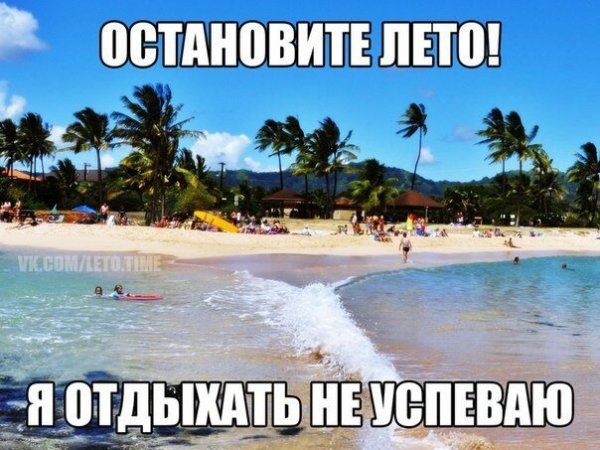 Середина лета приколы