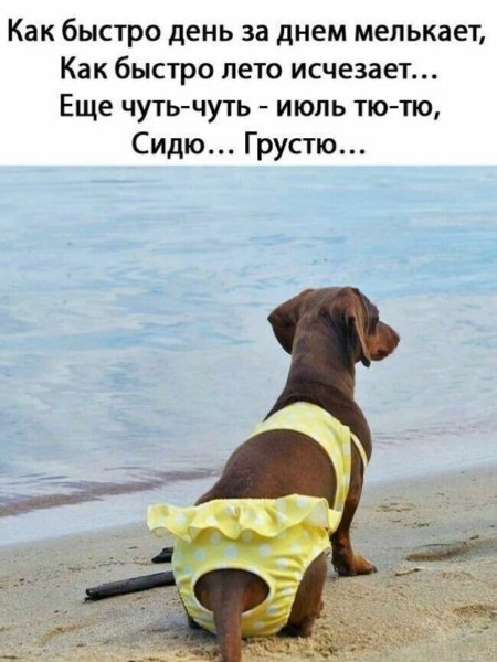 Как быстро лето исчезает