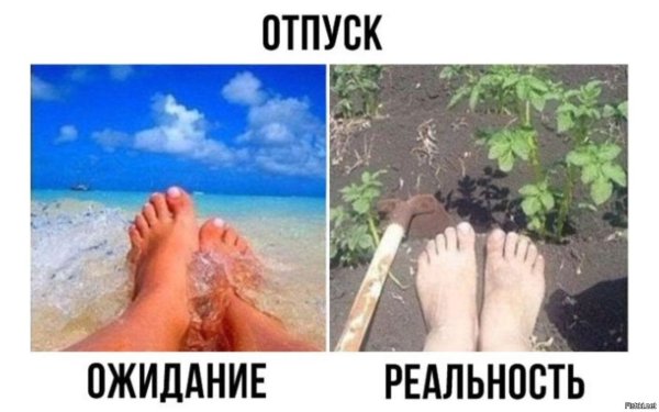 Лето ожидание реальность
