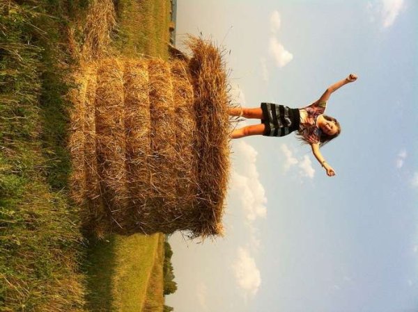 Лето остановись картинки