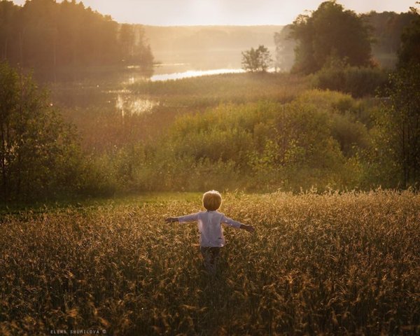 Воспоминания о детстве