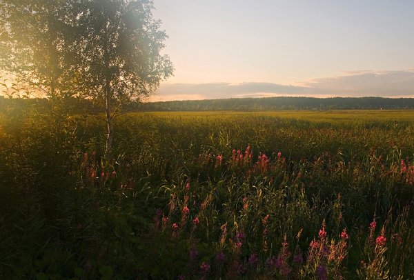Лето ностальгия