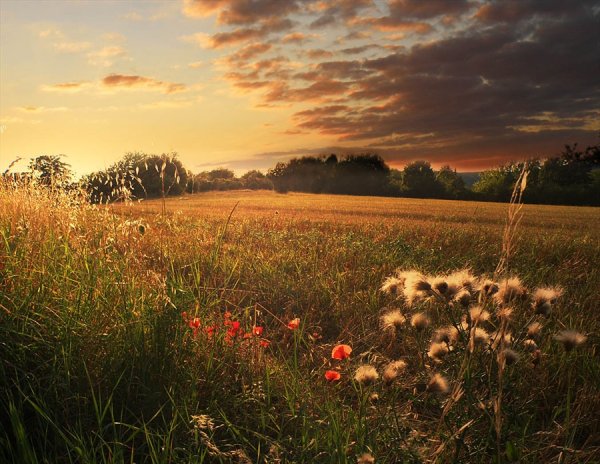 Вспомним лето